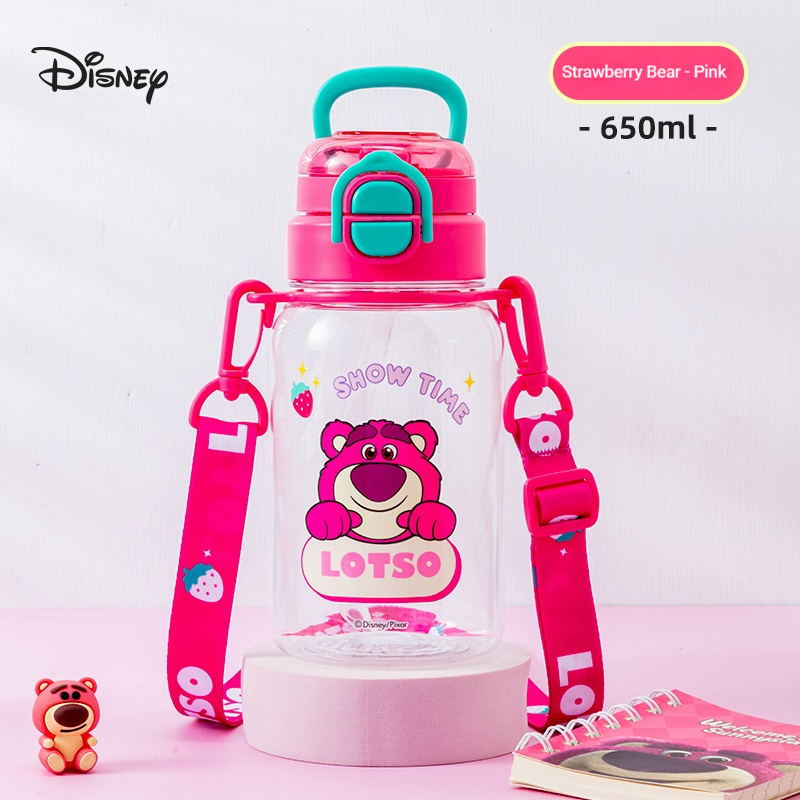 Disney Children's Insulated Cu - огляд і ціна Flask Stainless Steel